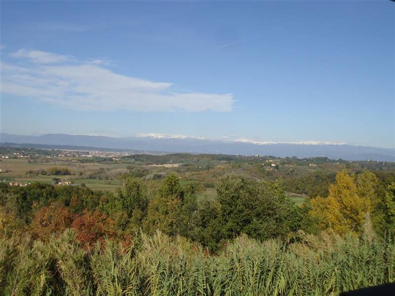 San Miniato vendesi azienda agricola