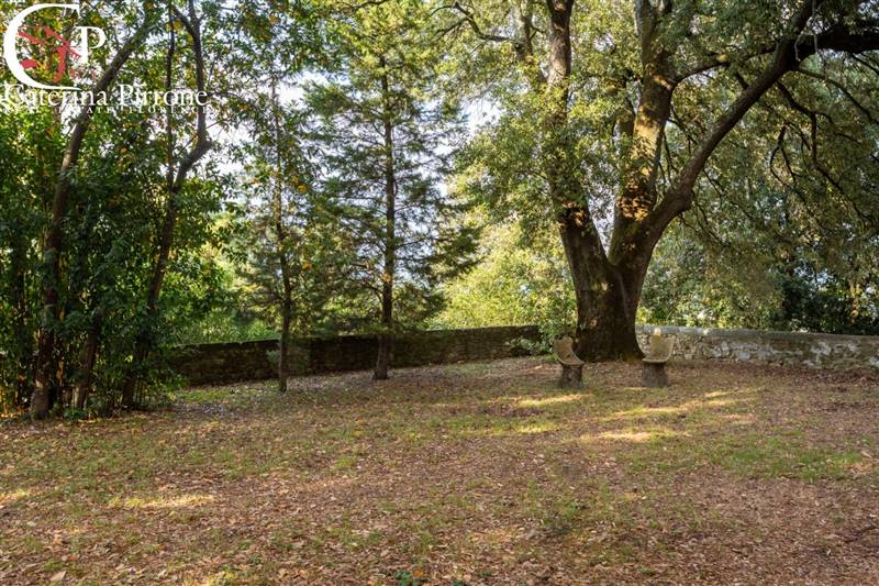 RIGNANO SULL'ARNO CASTELLO