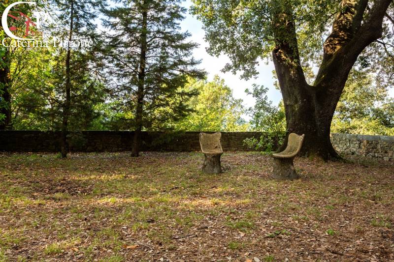 RIGNANO SULL'ARNO CASTELLO