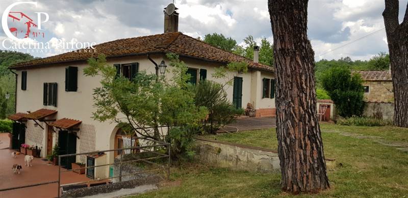 TERRANOVA BRACCIOLINI  AZIENDA AGRICOLA