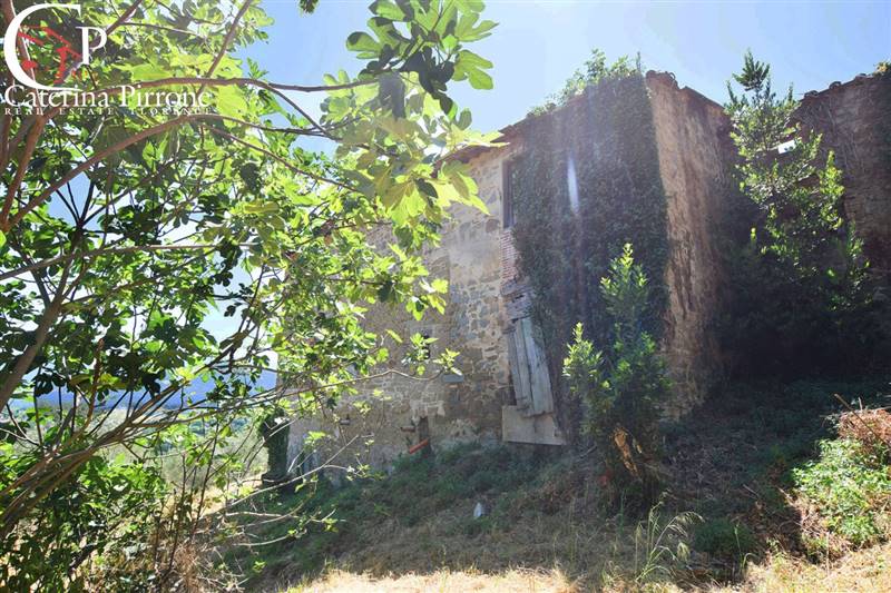 Rignano sull'Arno - Bisticci vendesi colonica da