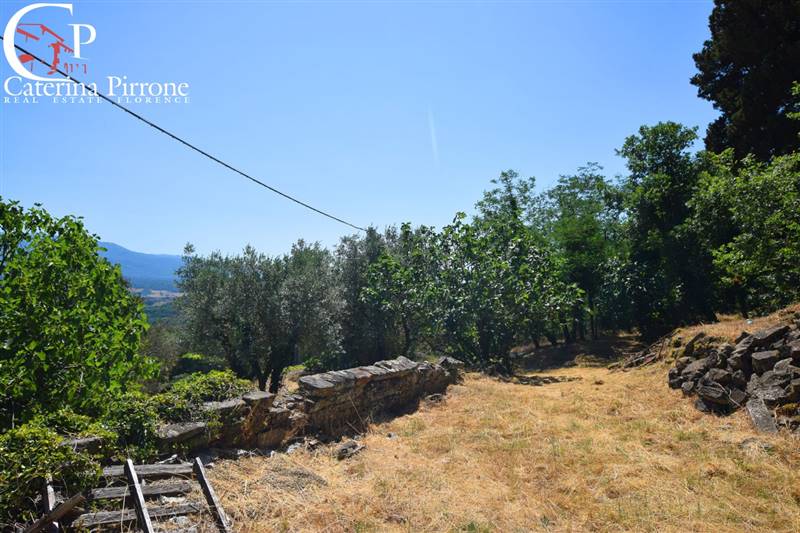 Rignano sull'Arno - Bisticci vendesi colonica da