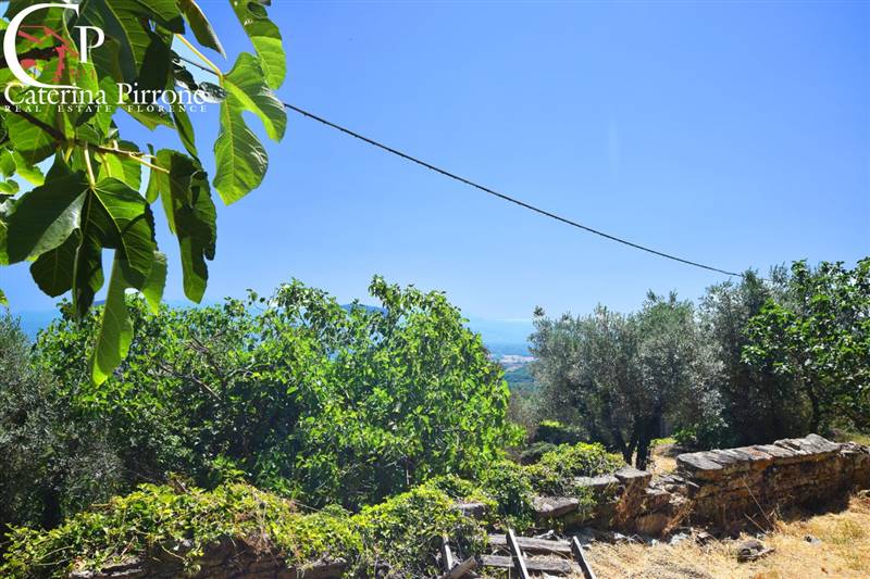 Rignano sull'Arno - Bisticci vendesi colonica da