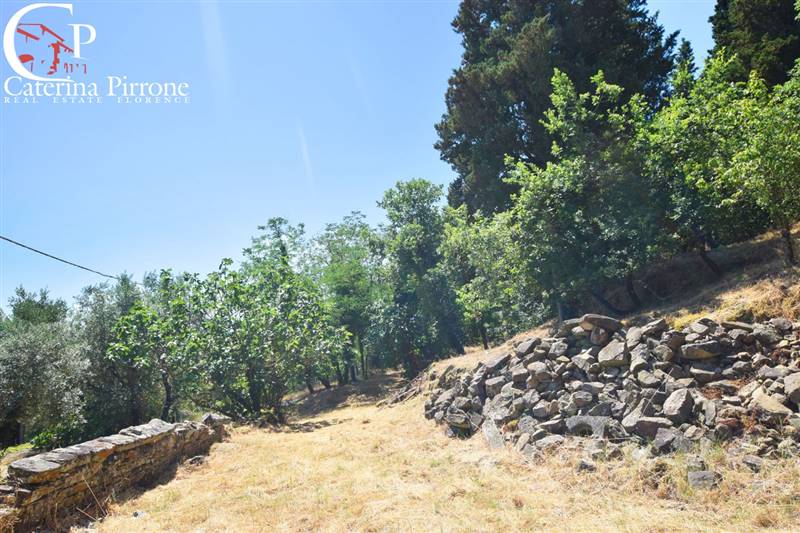 Rignano sull'Arno - Bisticci vendesi colonica da