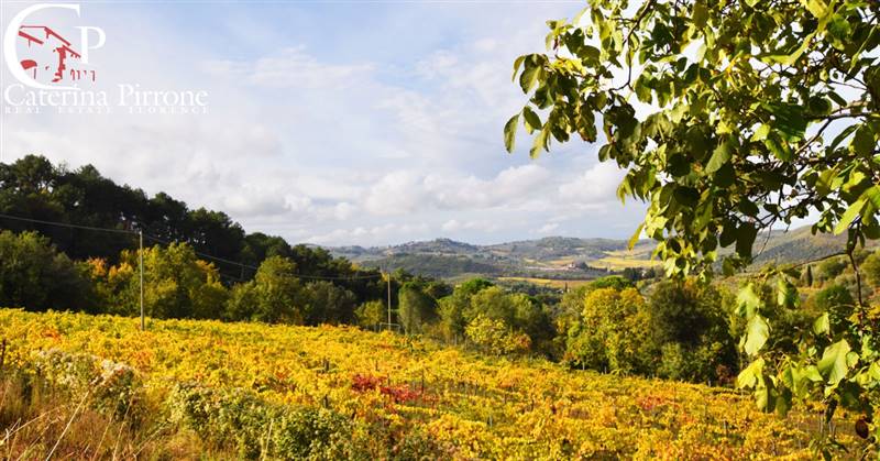GREVE IN CHIANTI VENDESI COLONICA