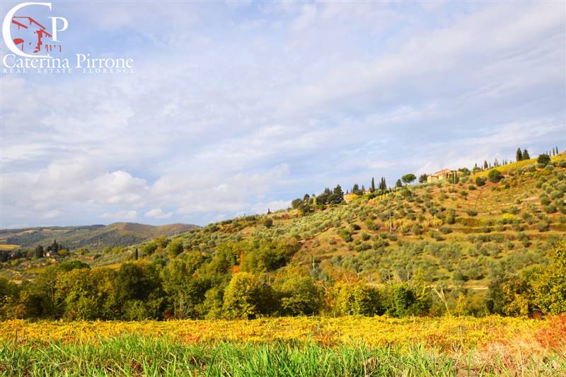 GREVE IN CHIANTI VENDESI COLONICA