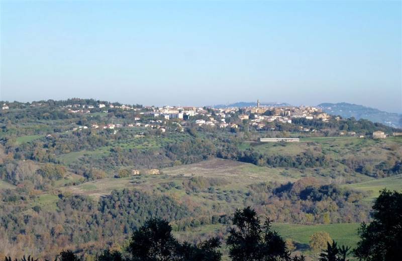 Pomarance 1.jpg.jpg.jpg