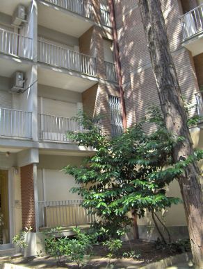 facciata esterna scala condominiale