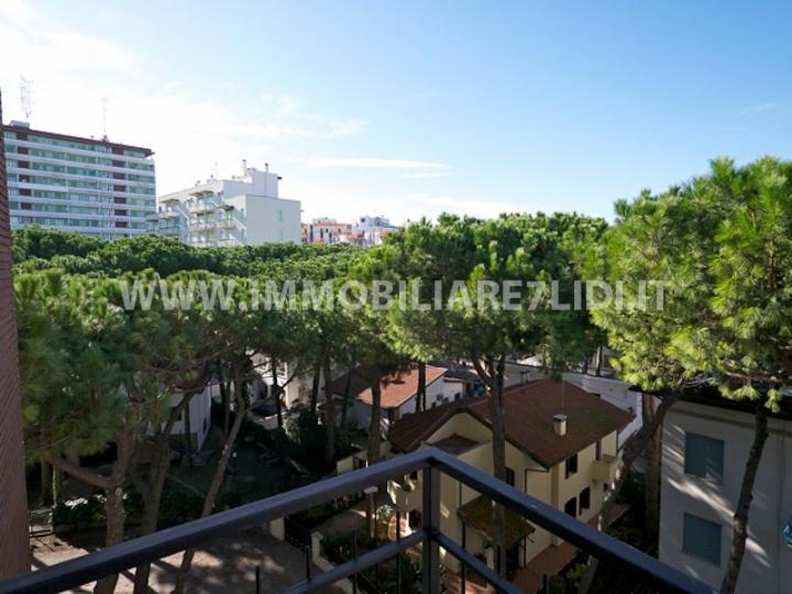 vista panoramica dal balcone (2)