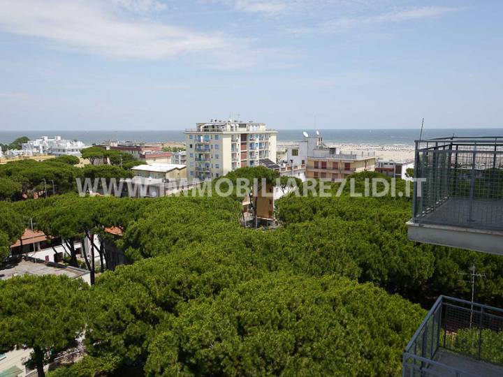 vista panoramica (2)