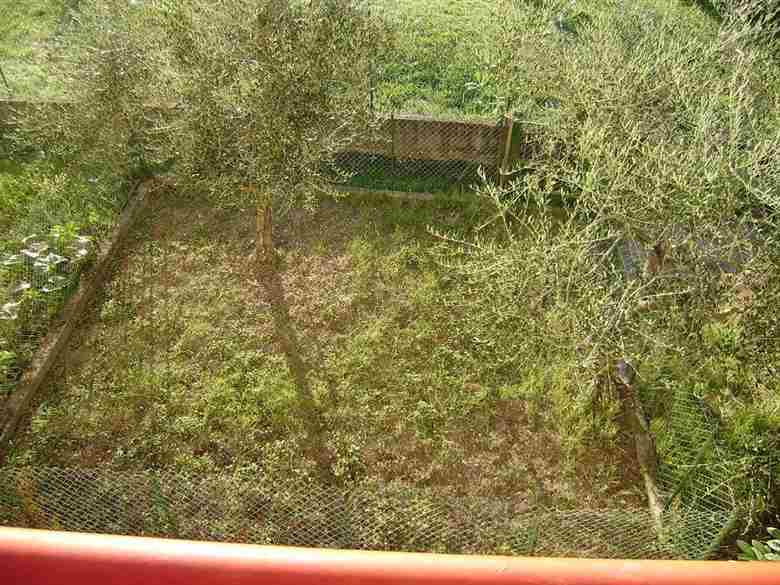 P9170009 (Copia).JPG