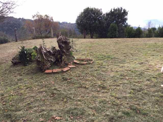 fosdinovo-indipendente (1).JPG