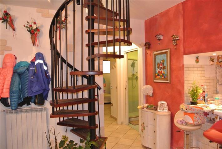 Caniparola-recente-costruzione (1).JPG