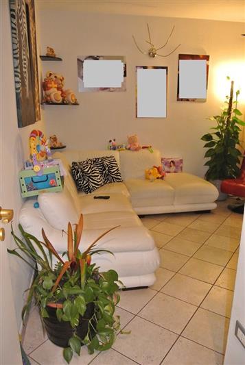 Caniparola-recente-costruzione (17).JPG