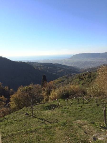 indipendente-castelnuovo-vista-mare (18).JPG