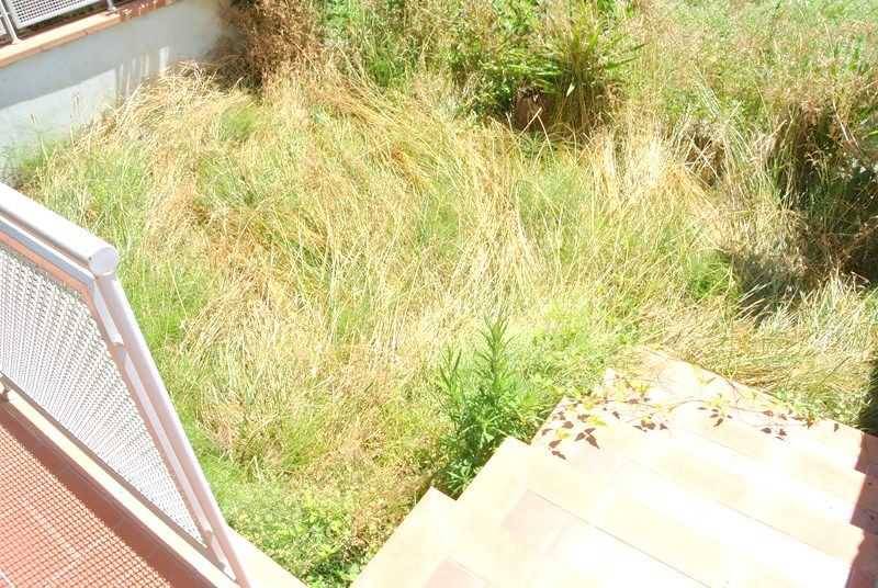 DSC_0646 (Copia).JPG