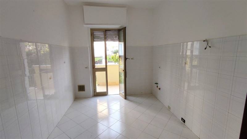 IMG_20210303_160329 [Risoluzione del desktop].jpg