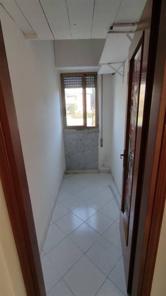 IMG_20210303_160354 [Risoluzione del desktop].jpg