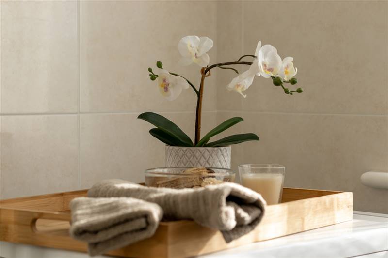 immobile-arredato-caniparola (17).jpg