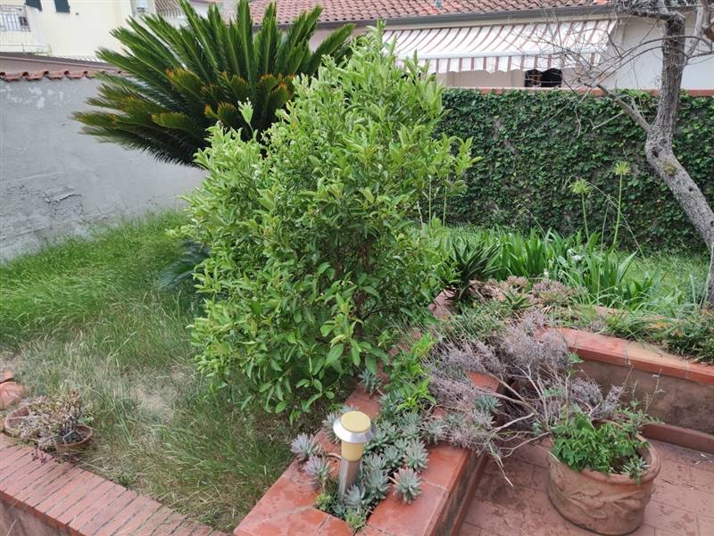 IMG_20220830_183809 [Risoluzione del desktop].jpg