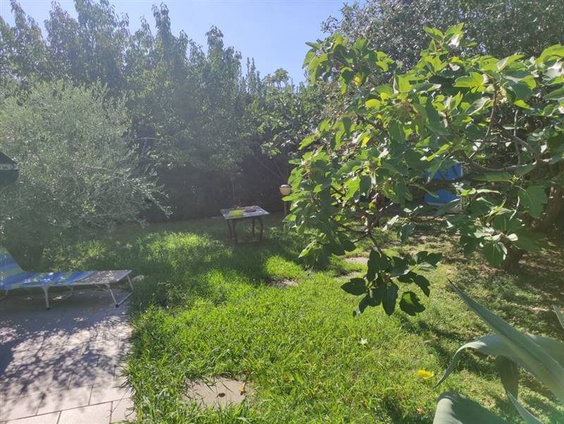 IMG_20220824_104318 [Risoluzione del desktop].jpg