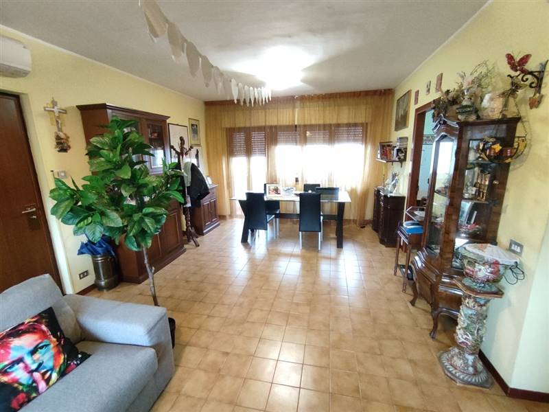 1633537969441 [Risoluzione del desktop].jpg