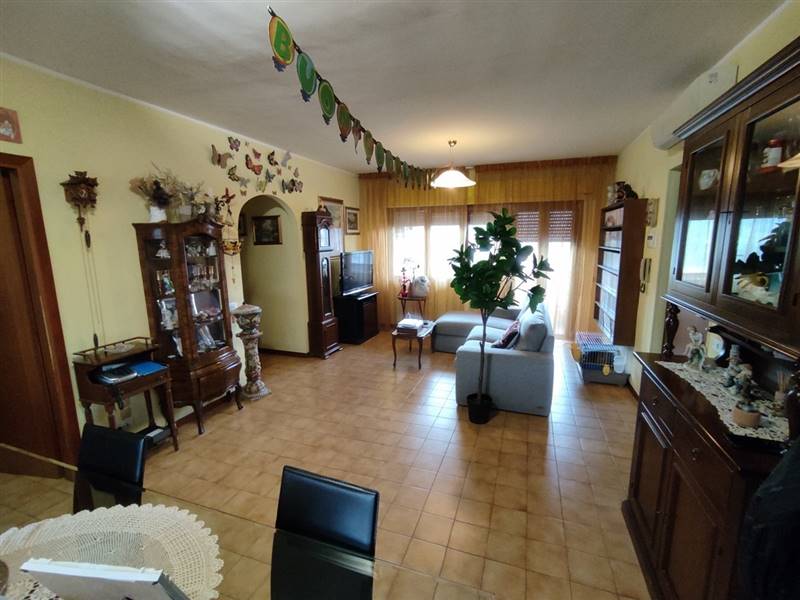 1633537969488 [Risoluzione del desktop].jpg