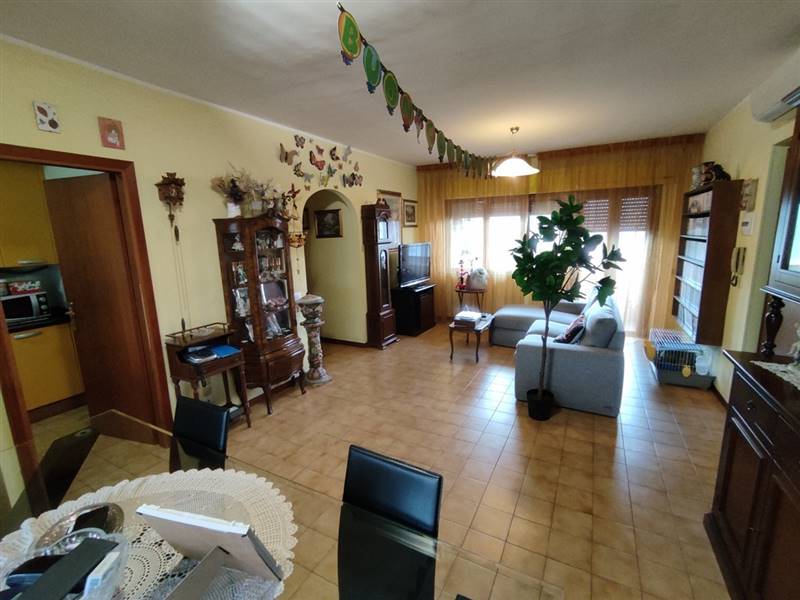 1633537969481 [Risoluzione del desktop].jpg