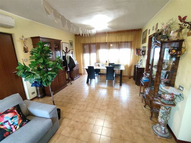 1633537969451 [Risoluzione del desktop].jpg