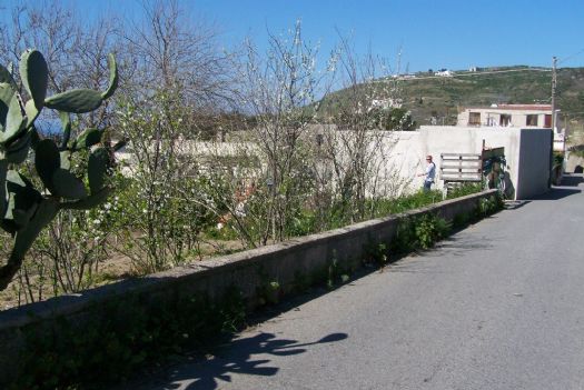 lato strada con ingresso