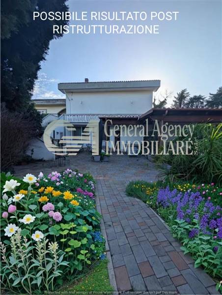 WhatsApp Image 2025-02-27 at 17.58.26 (4).jpg