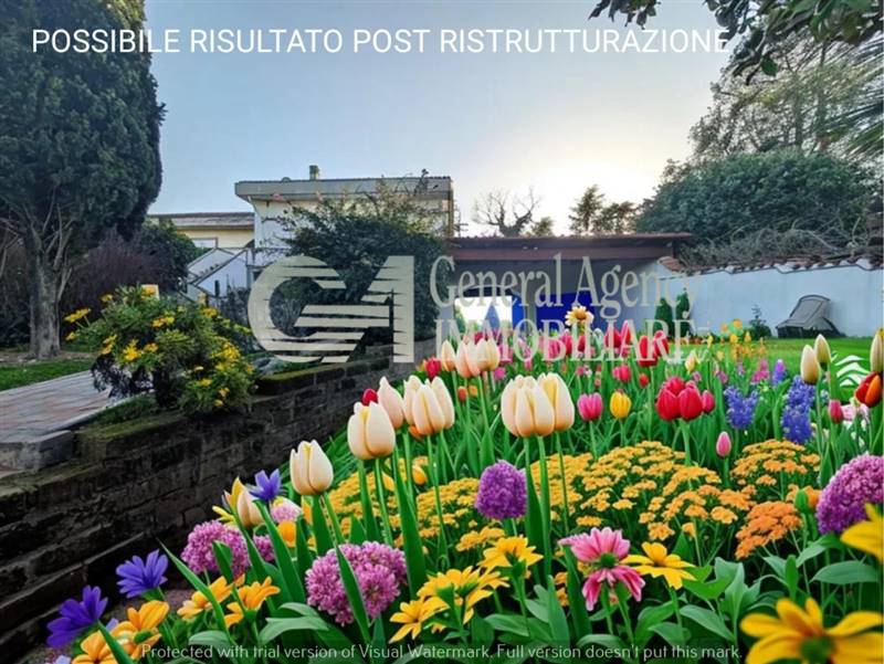 WhatsApp Image 2025-02-27 at 17.58.26 (3).jpg