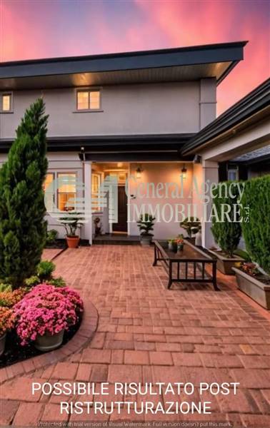 WhatsApp Image 2025-02-27 at 17.15.09.jpg