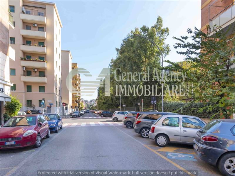 1830544_202411111616425829293l (1).jpg