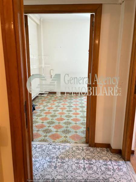 WhatsApp Image 2025-05-07 at 16.46.14.jpg