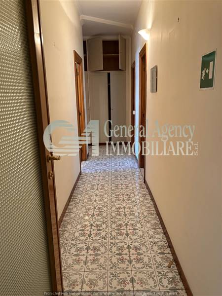 WhatsApp Image 2025-05-07 at 16.46.05 (1).jpg