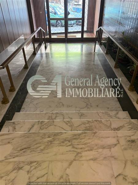 WhatsApp Image 2025-07-14 at 16.18.34.jpg