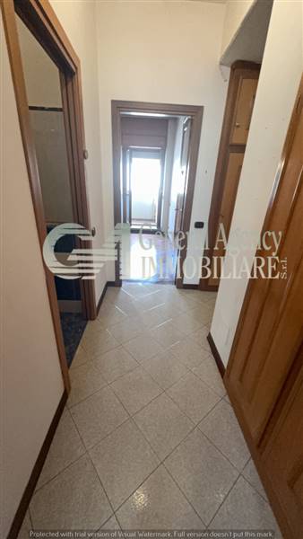 image_52_668847 (1).jpg