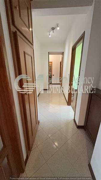 image_26_244225 (1).jpg