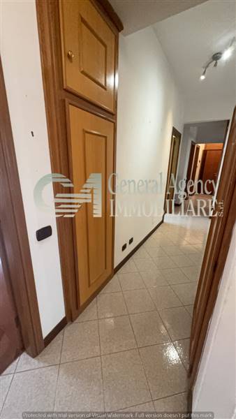 image_54_415550 (1).jpg