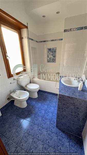 image_22_827136 (1).jpg