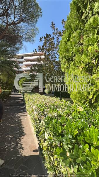 image_75_457386 (1).jpg