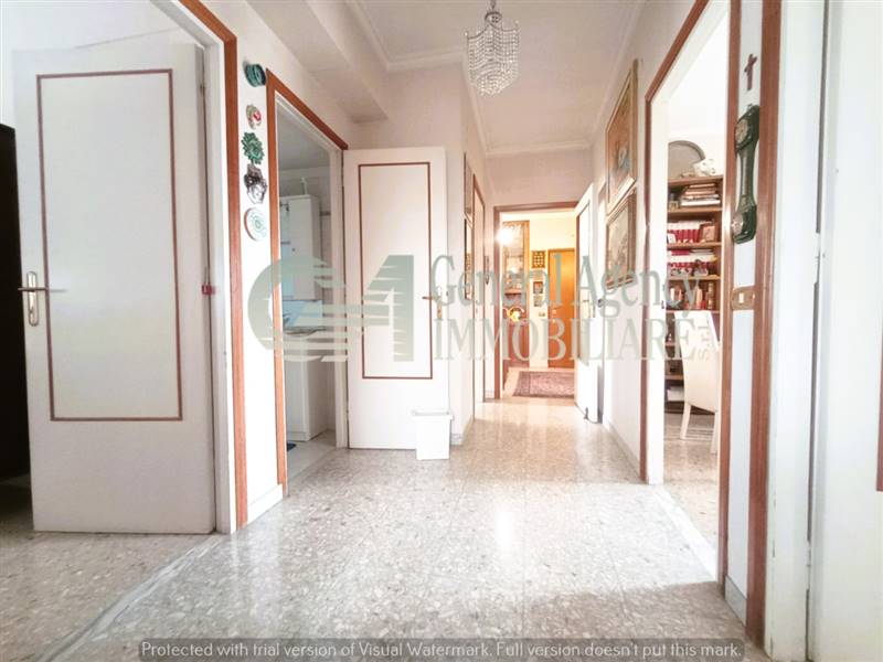 1839466_202504221552438394080l (1).jpg