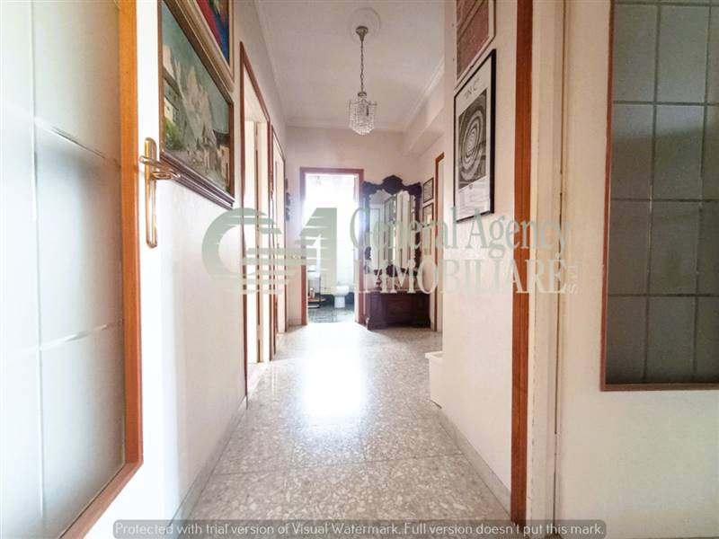 1839466_202504221552173640028l (1).jpg