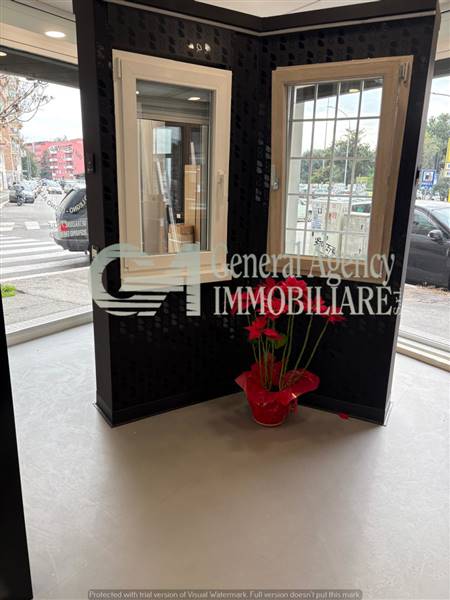 WhatsApp Image 2026-01-15 at 14.52.55 (4).jpg