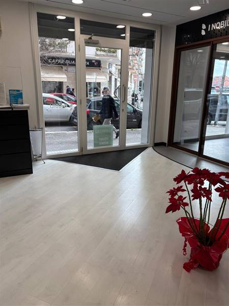 WhatsApp Image 2026-01-15 at 14.52.55.jpeg