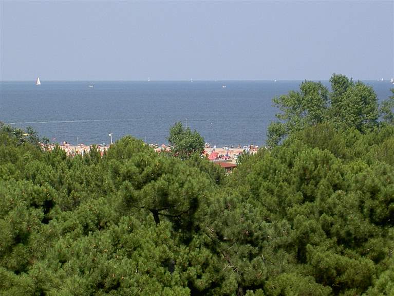 pineta lido di spina