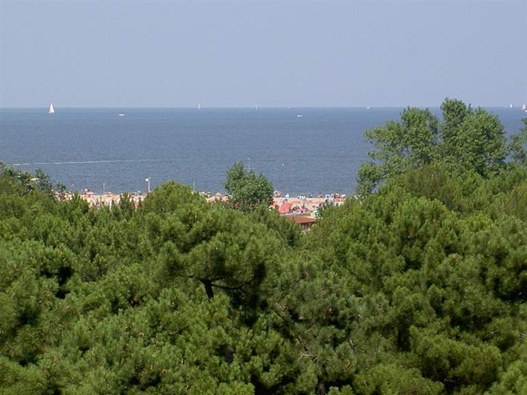 pineta del lido di spina