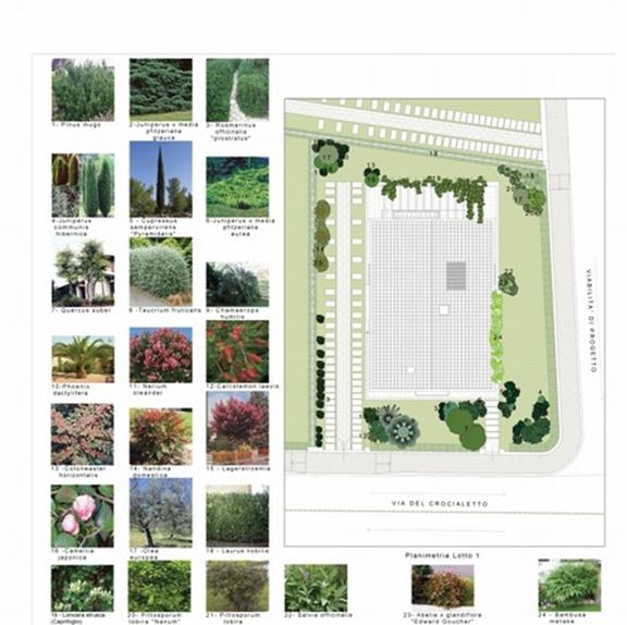 lotto n.1 distribuzione del giardino