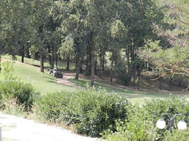 vista sull'adiacente golf